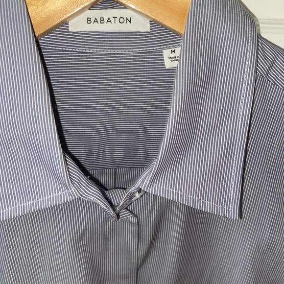 Aritzia Babaton Long Dress Shirt Pinstriped Blouse - Picture 3 of 4
